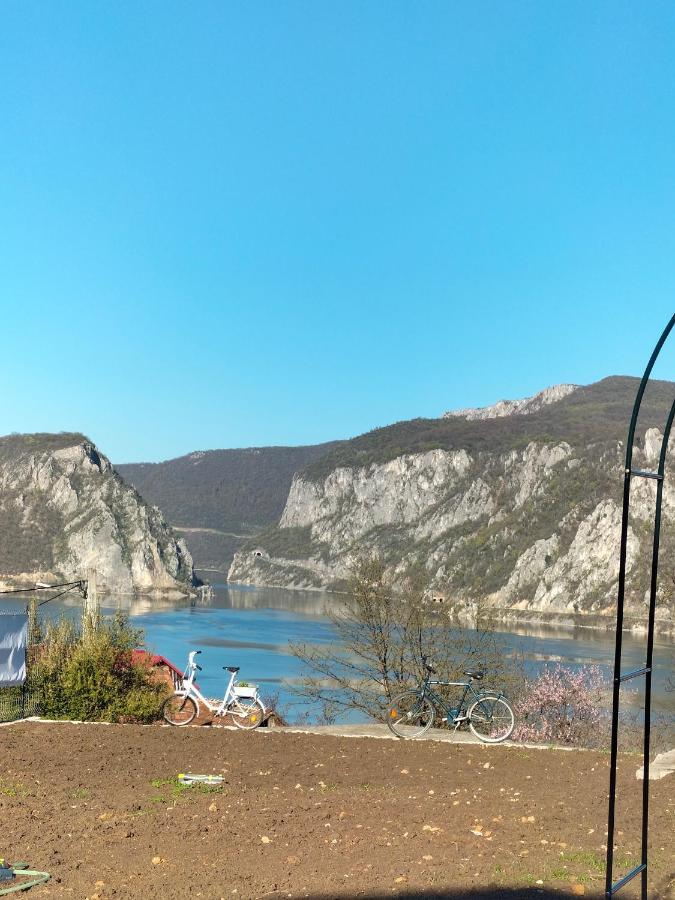 Casa De Vacanta Maga Dubova Exterior photo